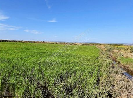Çanakkale Ezine Mahmudiye De 10.114 M2 Satılık Tarla