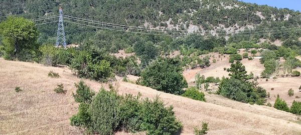 Sorgun Köyü'nde Satılık Gölet Manzaralı Hobi Bahçesi