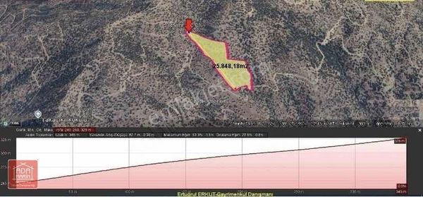 İzmir Bayındır Buruncuk Köyü 10770m2 Zeytinlik