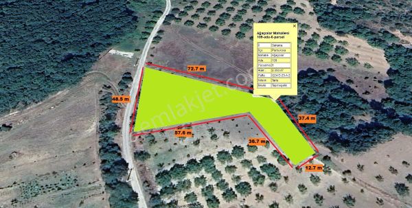 Pamukova Ağaççılarda 48 M Yola Cephesi Olan Satılık Tarla