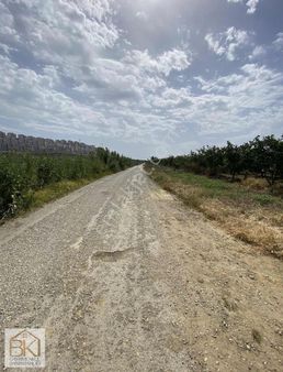 İzmir Selçuk Pıranga Mevkinde Satılık 11.102 M2 Şeftali Bahçesi