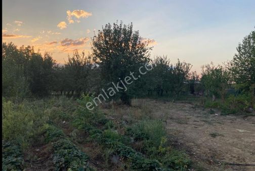 Bursa İnegöl Kurşunluda Satılık Tarla