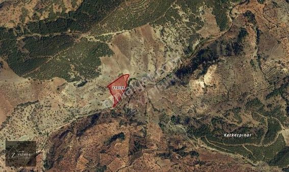 Z Yatırım'dan Belen Köy'de Satılık Arazi -fırsat-