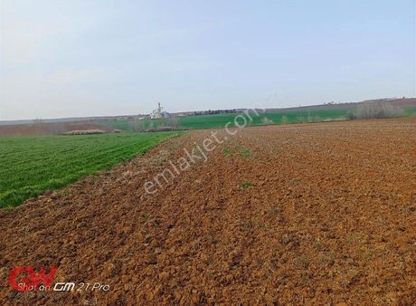 Gw Elite-süleymanpaşa Selçuk Köy Cıvarı 9592 M2 Satılık Tarla