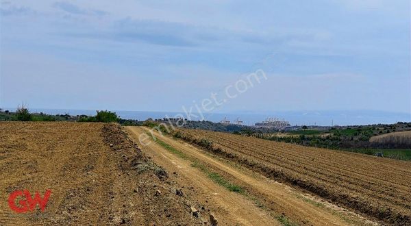 Satılık Ceviz Ve Meyve Bahçesi