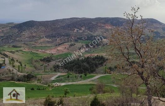 Ömer G.menkulden Pazarcık Büyük Nacarda Satılık Tarla
