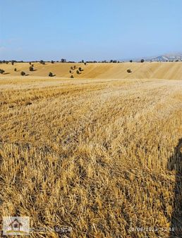 Omer G.menkukden Pazarcik Musolar-ilyaslarda Satilik Tarla