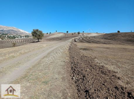 Ömer G.menkulden Pazarcık Karaağaç Döndük Lerde Satlık Tarla