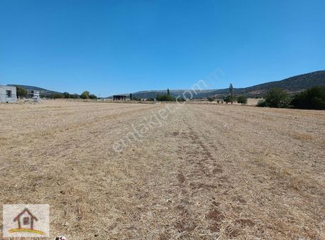 Ömer G.menkulden Pazarcık Yeni Hastane Yakınında Arsa