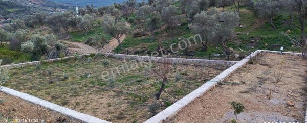 Seferihisar Orhanlı Köyünde Anayola Yakın Fırsat Arazi