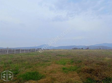 İzmir Selçuk Atatürk Mh 7.123m2 Boş Tarla