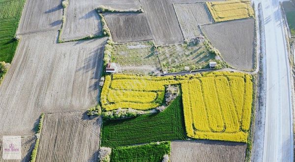 Bölgenin En Uygunu Kelepir Tarla