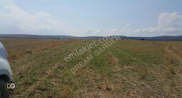 Eskişehir Çifteler De Yatırıma Uygun Satılık Tarla