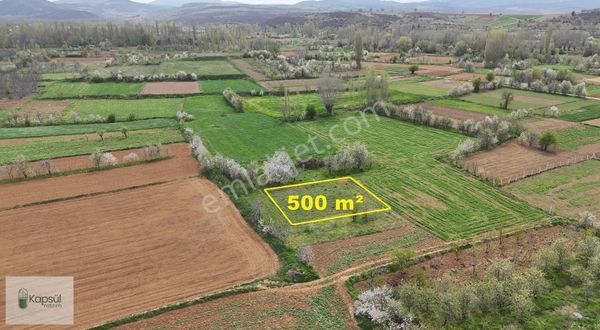 Doğanhisar / Zafer De 500 M² Tarla /konya