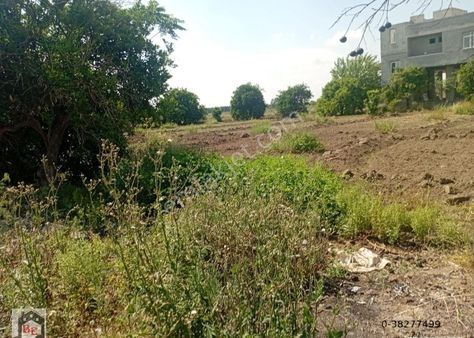 Beste'den Akkapı Mah. Kanala Yakın 4575 M2 Satılık Arsalık Tarla