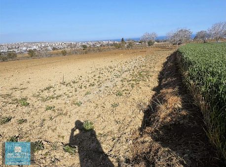 Tekirdağ Süleymanpaşayavuzmah Bağcılıkaraştırmamevki Satılıkarsa
