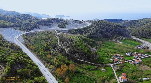 Amasra Ahatlar Otoyol Kenarı Satılık Parsel Tek Tapu 1987m2