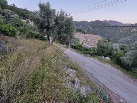 Elvan Özçelik'den Ören Kalem'de Köyiçi İmarında Tarla