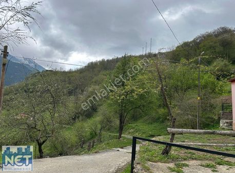 Net Profesyonel Emlak'tan Hamsiköy Manzaralı Satılık Arazi