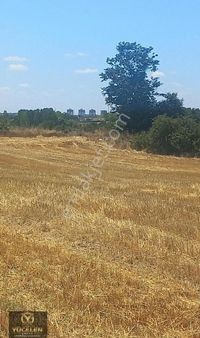 Kapaklı/küçükyoncalı/tek Tapu/satılık Tarla