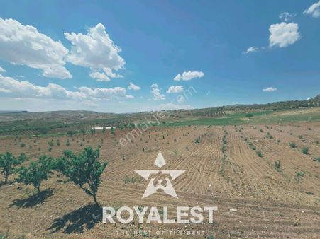 Royalest'ten Karadede Köyü'nde Yatırımlık Fırsat Arazi