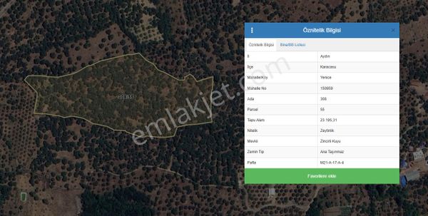 Karacasu Yenice Anayola Yakın Zeytinlik 23.195 M2