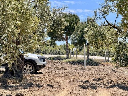 Hacımusa Da 687 M2 Zeytinlik , Önü Park