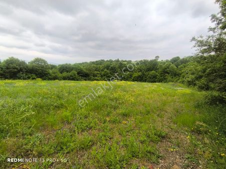 M.k.paşa Gayrimenkulden Kömürcükadı'da Satılık 4 Dönüm Tarla