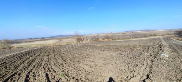 Bursa Karacabey Karakoca’da Satılık Tarlalar