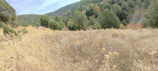 Bursa Keles Gelemiçte Satılık 3580 M2 Asfalt Yola 122 M Cephe