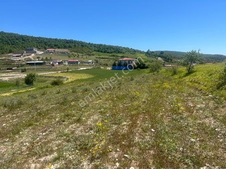 Sahibinde Alihocalar'da Muhteşem Konumda 1993m2 Satılık Tarla
