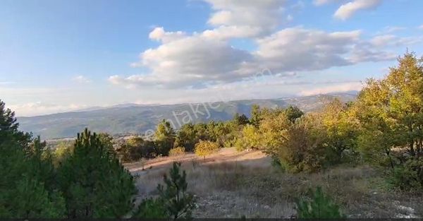 Bursa Keles Avdan Köyü'nde Uludağ Manzaralı 4628 M² Satılık Tarla