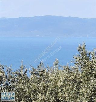 Kelepir Villa İmarlı Arsa Manzaralı, Asfalta Cephe Köşe Parsel