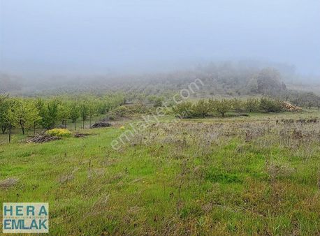 İster Yatırımlık, İster Hobi Amaçlı