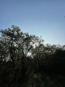 Çanakkale/biga'da Kelepir Müstakil Tapulu Tarla