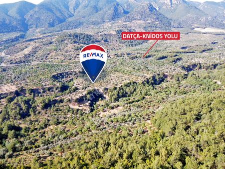 Datça Satılık Arazi Uygun Fiyatlı Sındı Zeytincik'te