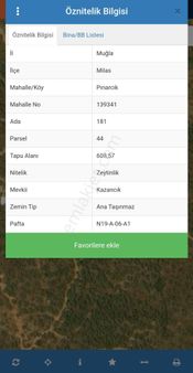 Muğla Milas Pınarcık Mahallesinde Satılık Zeytinlik