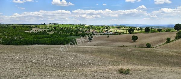 Manisa Selendi Zıraman'da Satılık 65.106 M2 Yatırımlık Tarla