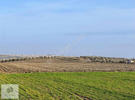 Emsalsiz Konumda Full Manzaralı Yatırımlık İmara Yakın Tarla