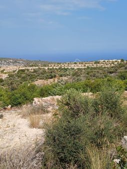 Mersin Erdemli Kumkuyu Tırtar'da 9599 M.kare Acilsatılık Bahçe