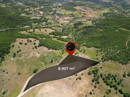 ▀▄artı'dan Sındırgı Kınık'ta Çift Kadastro Yollu Satılık 8957 M2 Tarla ▀▄