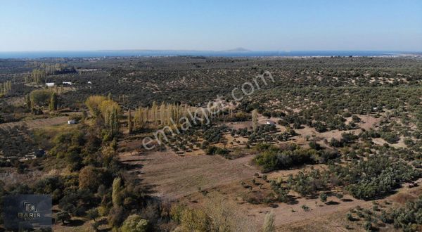 Çanakkale Ezine Geyikli'de Satılık Hobi Bahçesi