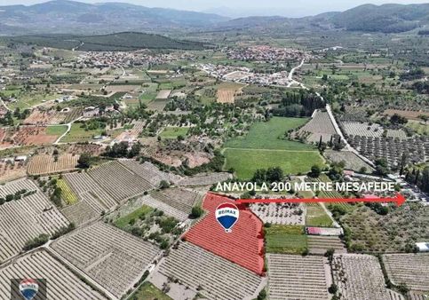 Kuşadası Kirazlı'da Satılık Üzüm Bağı Ana Yola Yakın