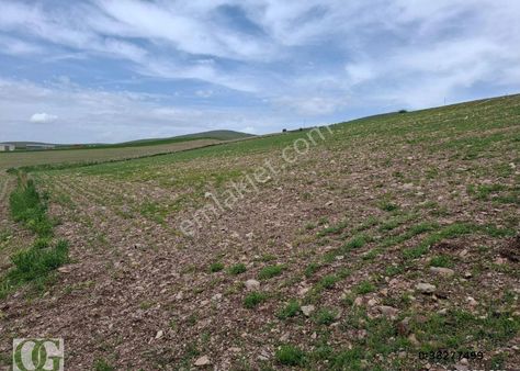 Çubuk Ömercik'te Tek Tapu Manzaralı Her İşe Uygun Tarla