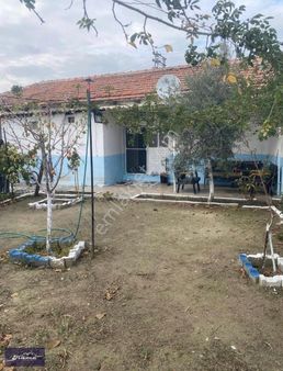 Acillll Satılık !! İshakçelebi De 240m2 Arsa İçinde Köy Evi