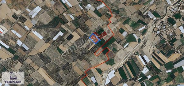 Antalya Elmalı Akçay Da Satılık Elma Bahçesi (11710 M2)