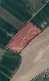 Baki Emlak Tan Çorum Yolu Kenarında Satılık Tarla