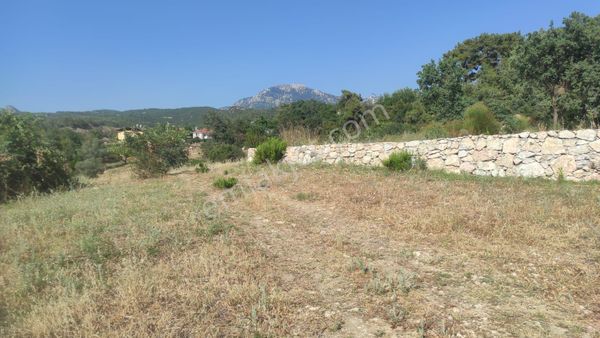 Seydikemer Çatak Köyünde Satılık 420m2 Arazi