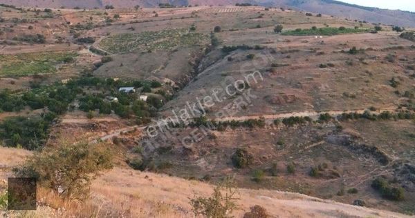 Yeşilyurt, Karagöz Mh. Satılık 5.000m2 Üzüm Bağı...