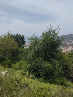 Kat Karşılığı Alanya Merkez